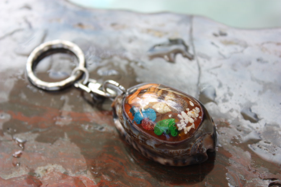 Keychain Seashell w/ Inlay Sea Life #1 - Aloha Keychain Keychain Seashell w/ Inlay Sea Life #1 - Aloha Keychain